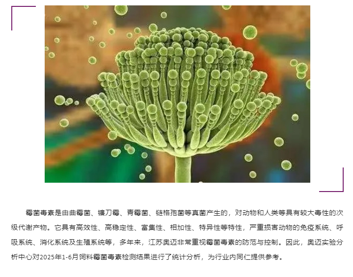 2025年上半年霉菌毒素检测分析报告_01.jpg